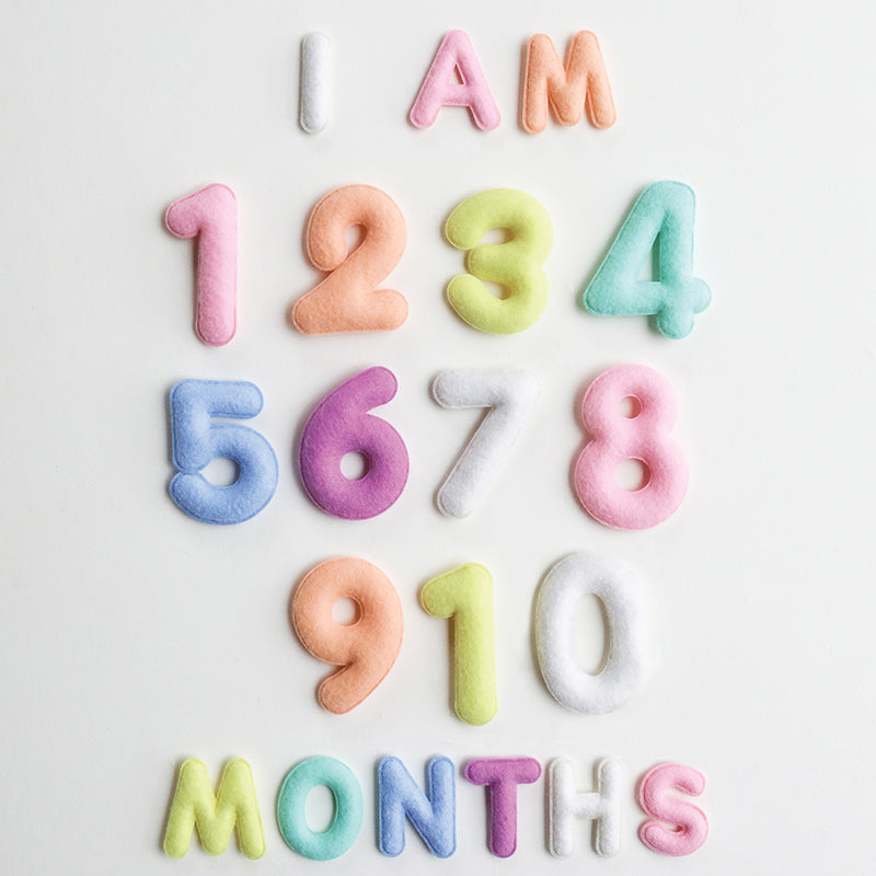 Milestone Felt Numbers in Pastel - HoneyBug