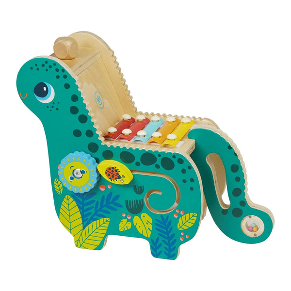 Musical Diego Dino by Manhattan Toy - HoneyBug 