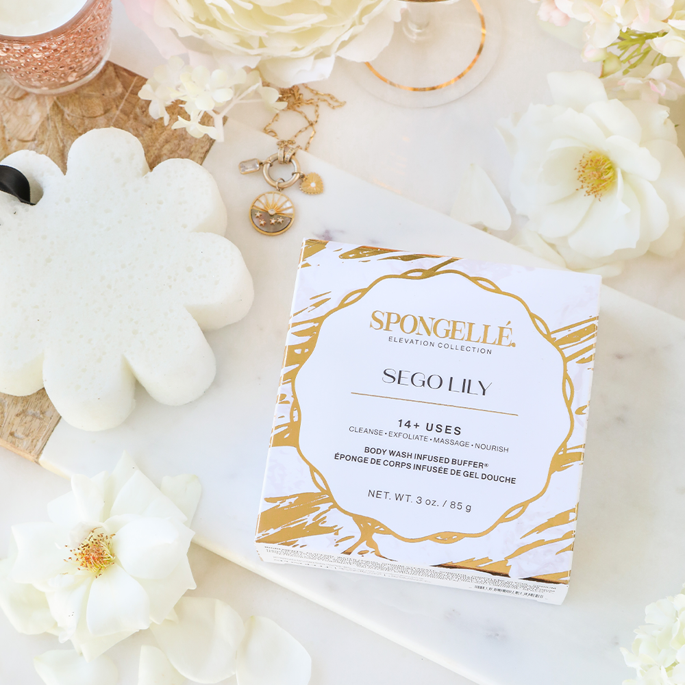 Sego Lily | Elevation Boxed Flower - HoneyBug