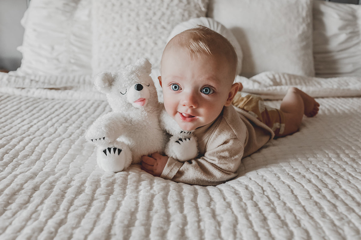 Little Bear - Snowy - HoneyBug