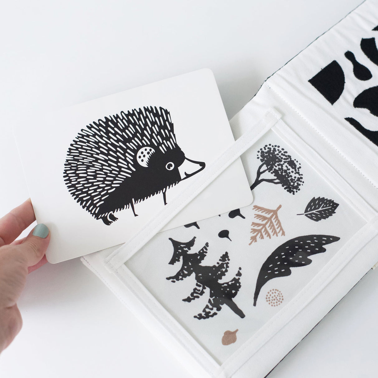 Baby Tummy Time Gallery with Mirror