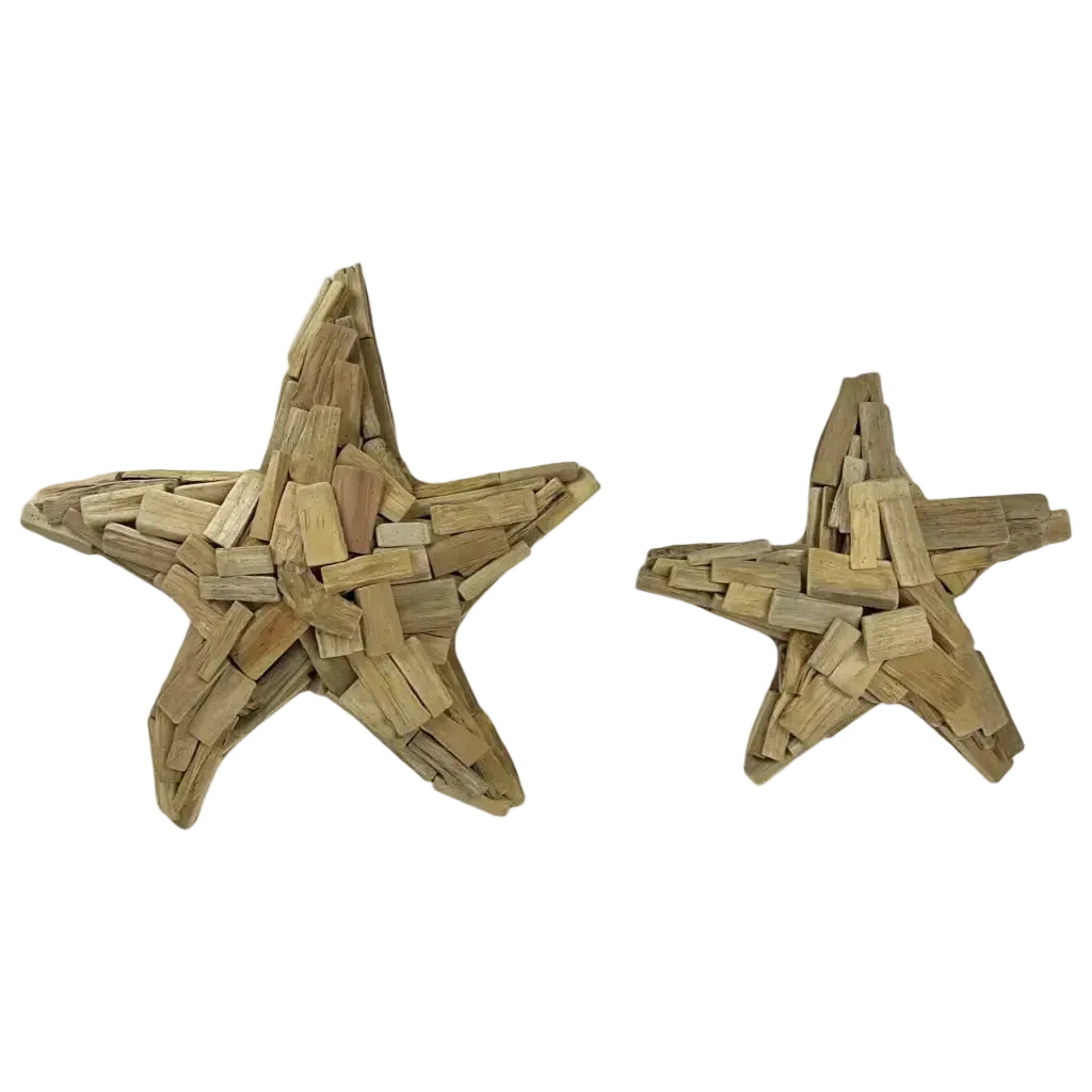Wooden Starfish Wall Art
