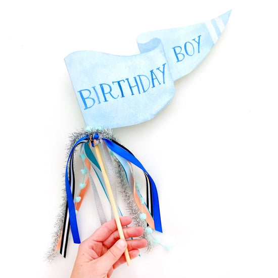 Birthday Boy Party Pennant - HoneyBug