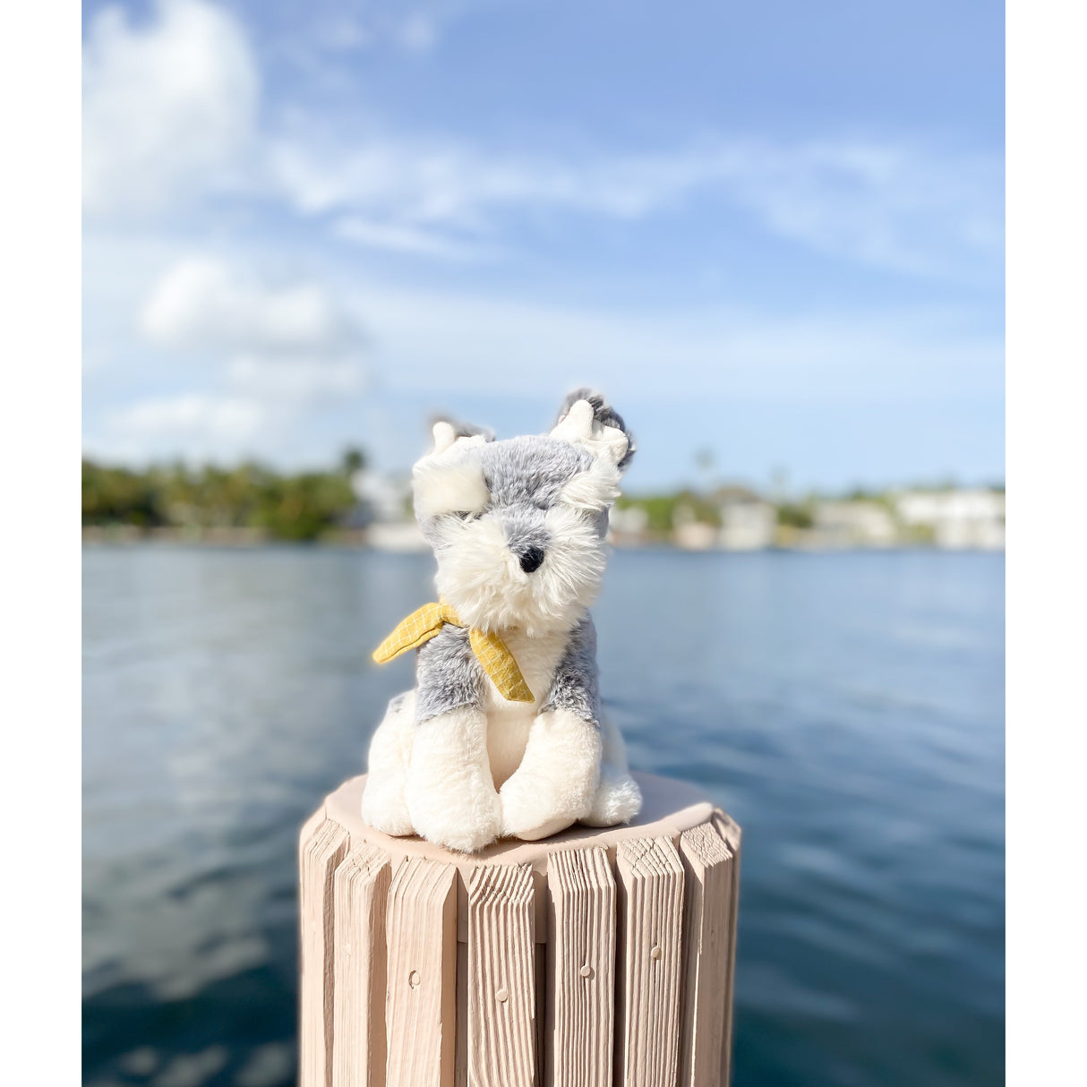 'Winston' The Schnauzer Puppy Plush Toy - HoneyBug