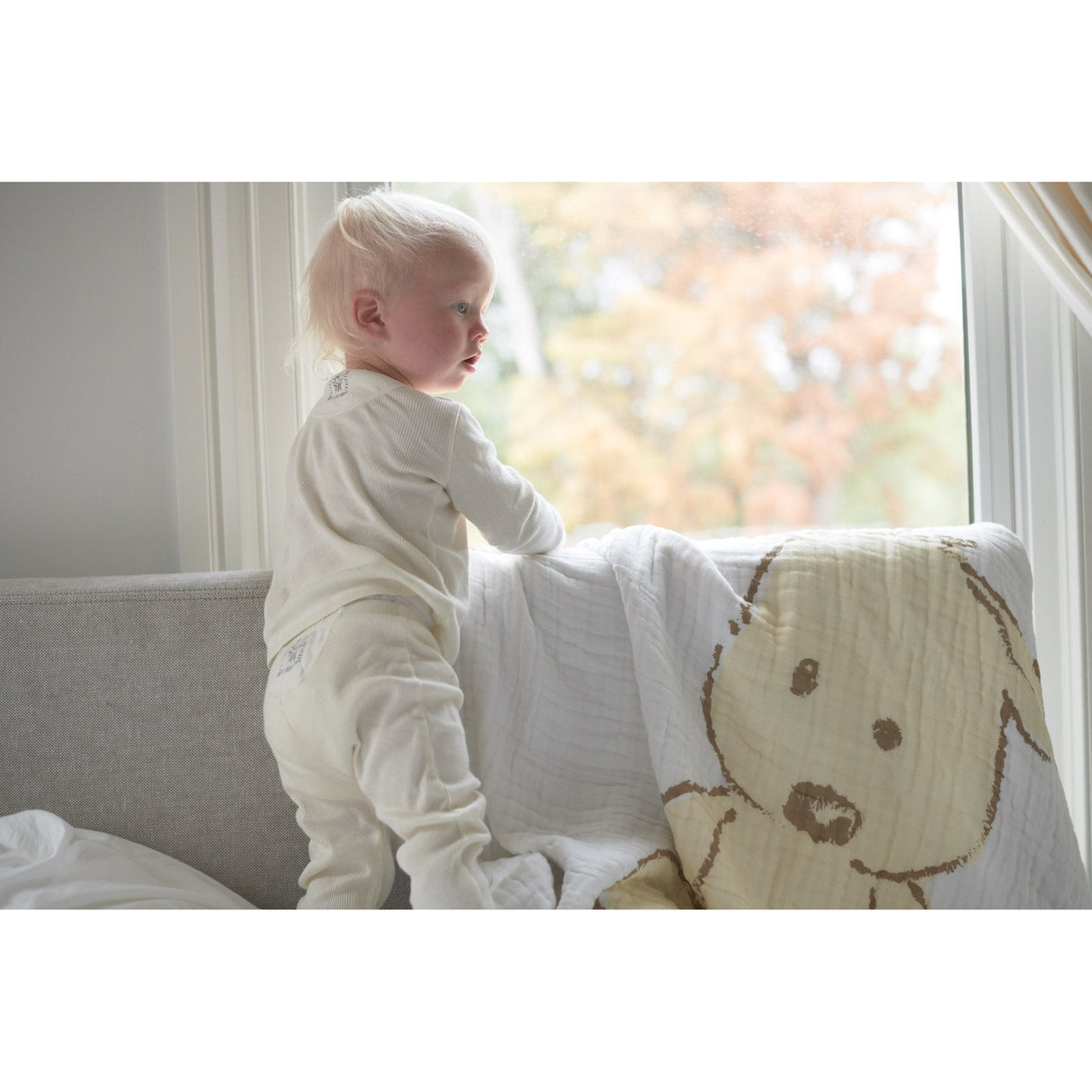 Teddy Bear and Plaid Cotton Muslin Newcastle Blanket - HoneyBug