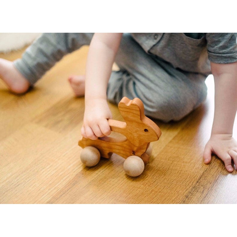 Bunny Push Toy - HoneyBug