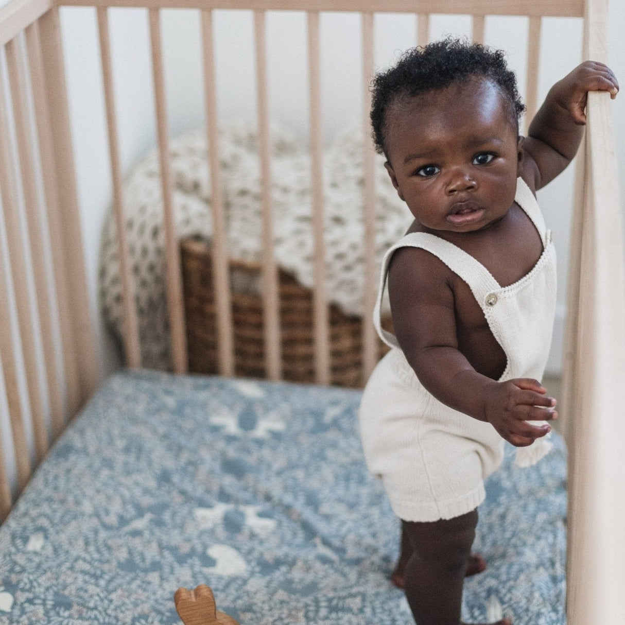 Bunny Push Toy - HoneyBug