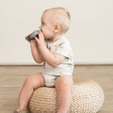 Organic Short Sleeve Romper & Pants Set - Turtles - HoneyBug 