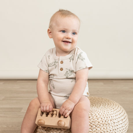 Organic Short Sleeve Romper & Pants Set - Turtles - HoneyBug 
