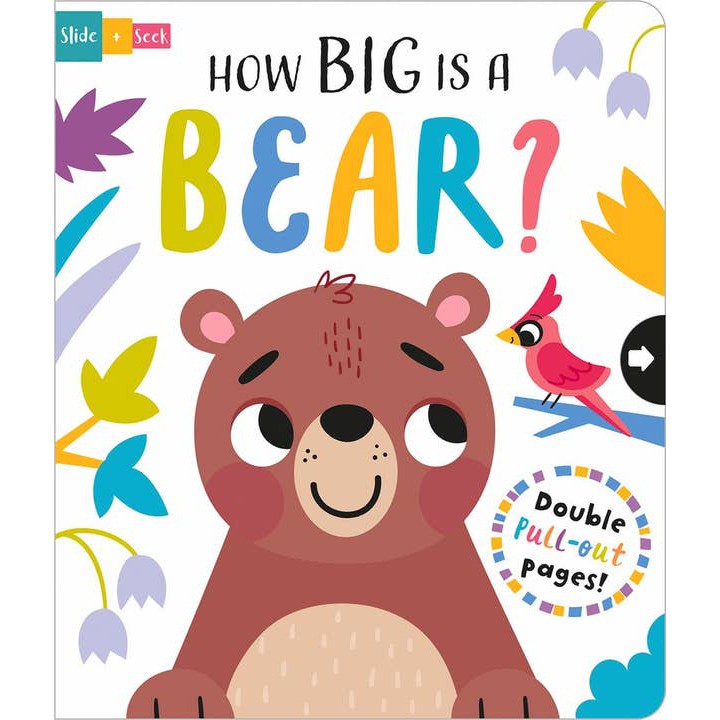 How Big Is A Bear? - HoneyBug 