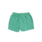 Country Club Dogs Neutral - Polo with Casual Short