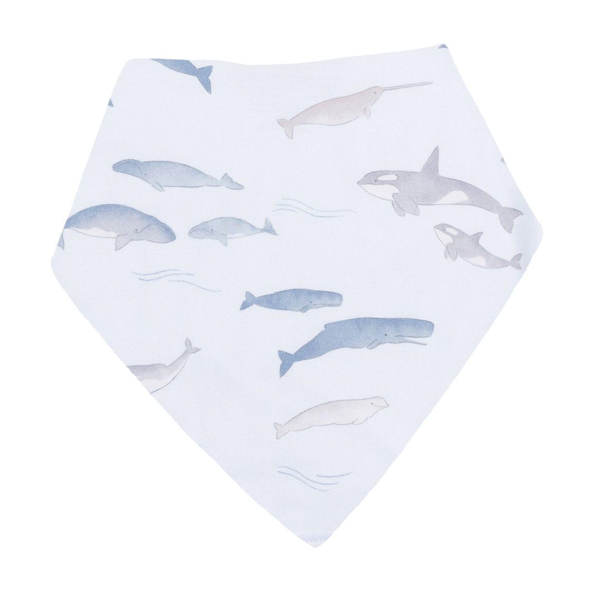 Little Whales - Polo Shortie & Bandana Bib