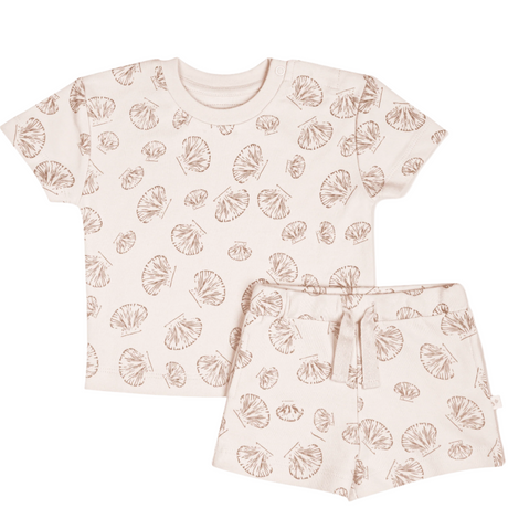 Organic Baby Toddler Tee and Shorts Set - Seashells - HoneyBug 