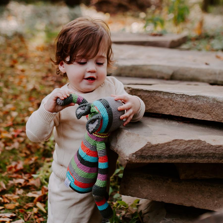 Large Stripey Donkey - HoneyBug 