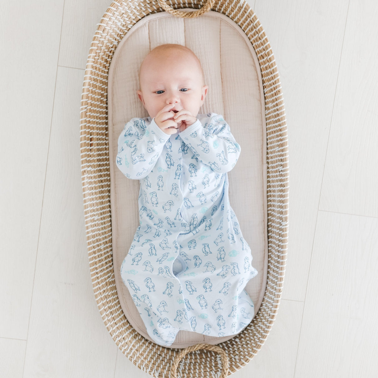 Puffin Print Converter - HoneyBug 