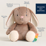 Sweetie Snuggles™ Plush - Billie the Bunny - HoneyBug 