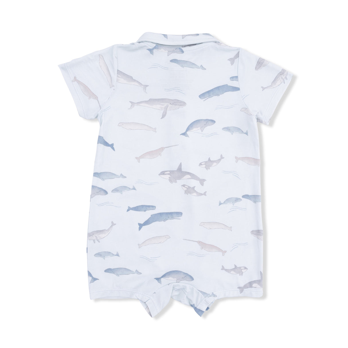 Little Whales - Polo Shortie & Bandana Bib