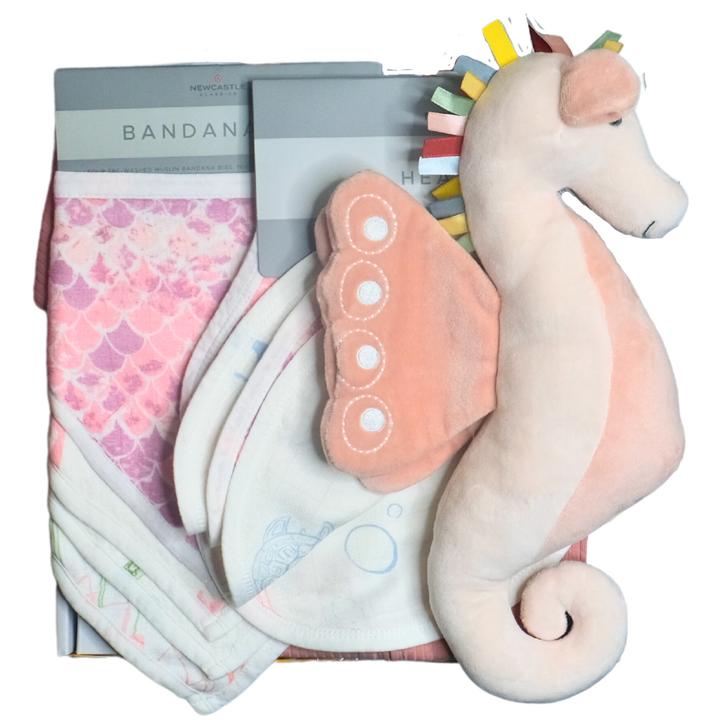 Seahorse Baby Gift Box - HoneyBug 