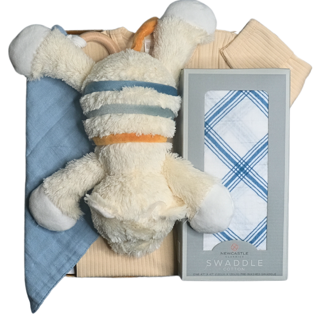 Blue Stripe Bear Gift Box - HoneyBug 