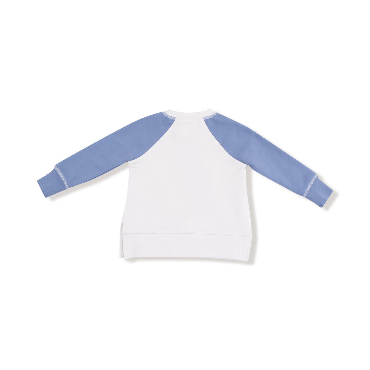 Raglan Sweatshirt and Jogger French Terry Set - HoneyBug 