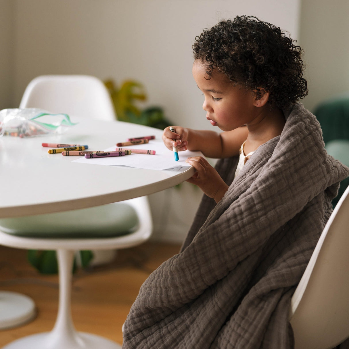 Cotton Muslin Quilted Throw - Mocha - HoneyBug 