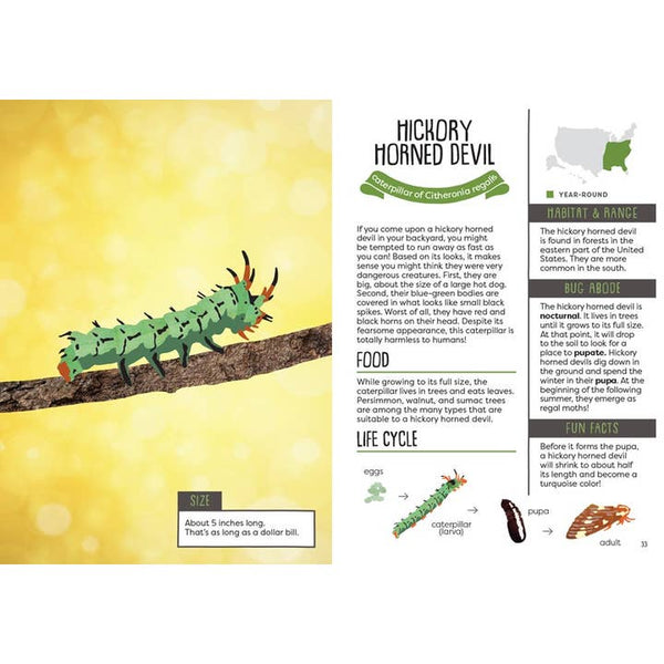 Kid’s Guide To Backyard Bugs - HoneyBug 