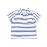 Navy Stripe - Polo with Everyday Short