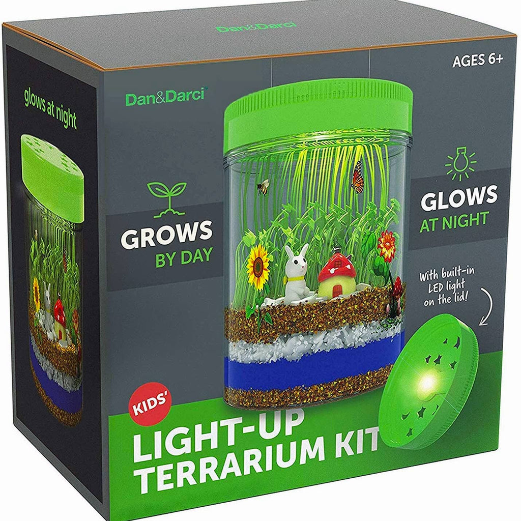 Light-Up Terrarium Kit - HoneyBug 