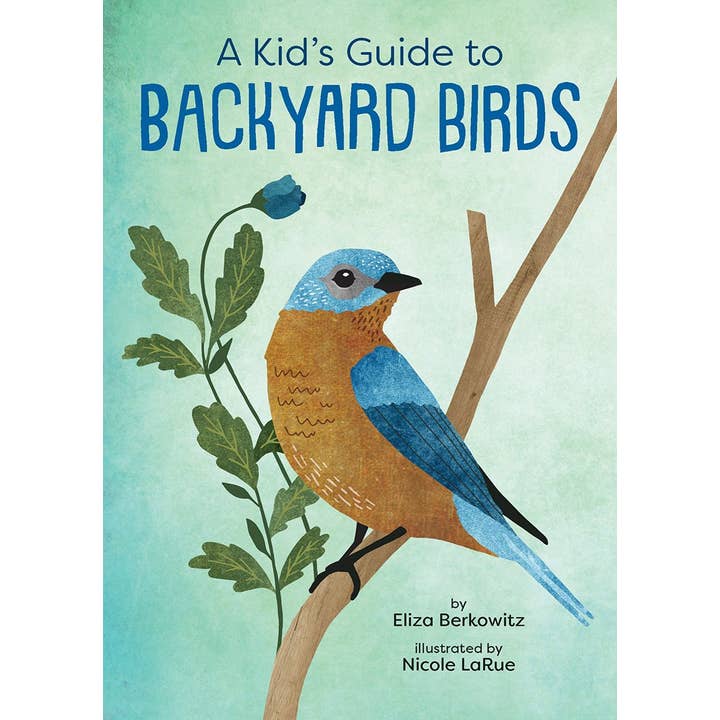 Kid’s Guide To Backyard Birds - HoneyBug 