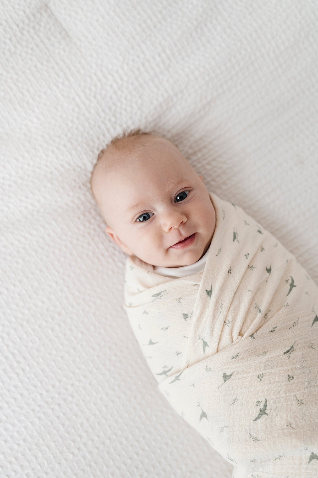 Cotton Muslin Swaddle Blanket - Sage Bird - HoneyBug 