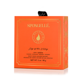 Lily of the Valley | Boxed Flower - HoneyBug 