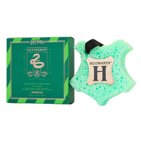 Slytherin™ Salazar's Ambition Buffer | Harry Potter™ Collection - HoneyBug 