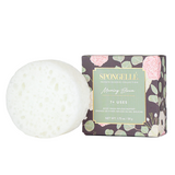 Morning Bloom | Spongette - HoneyBug 