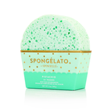 Spongelato Assorted Pack - HoneyBug 