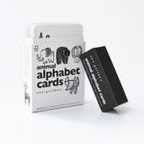 Animal Alphabet Cards - HoneyBug 