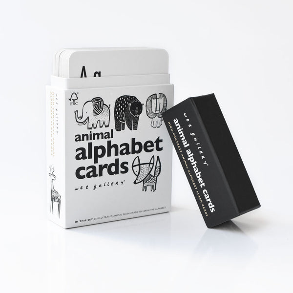 Alphabet Adventure Bundle - HoneyBug 
