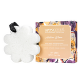 Autumn Bloom | Boxed Flower - HoneyBug 