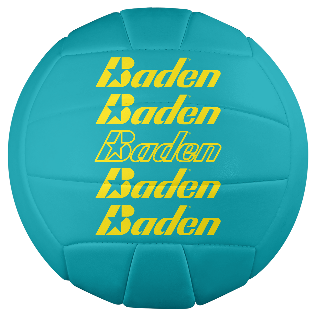 Baden Paradise Volleyballs - HoneyBug 