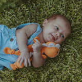 Dinosaur Lovey - HoneyBug 