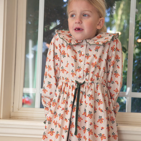 Girls Adelaide Velvet Tie Dress | Autumn Floral - HoneyBug 
