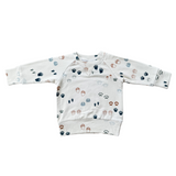 Boy's Raglan Sweatshirt - HoneyBug 