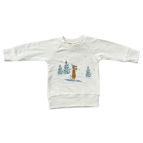 Boy's Raglan Sweatshirt - HoneyBug 