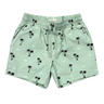 Boy's Twill Beach Shorts