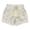 Boy's Twill Beach Shorts