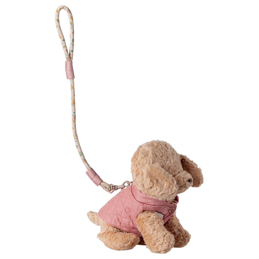 Pet supply, Harness and leash - Rose