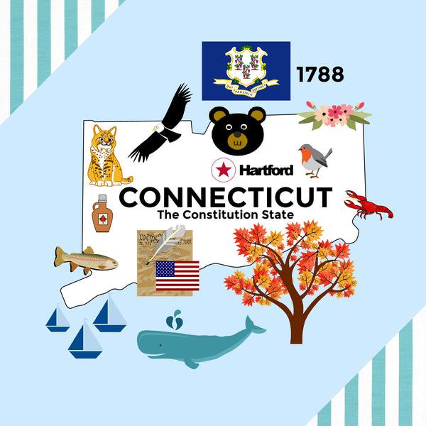 Connecticut State Tag Toy Crinkle Square - HoneyBug 