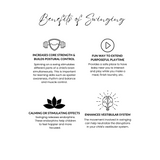 Premium Outdoor High Back Swing