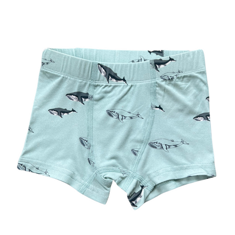 Boy's Boxer - HoneyBug 