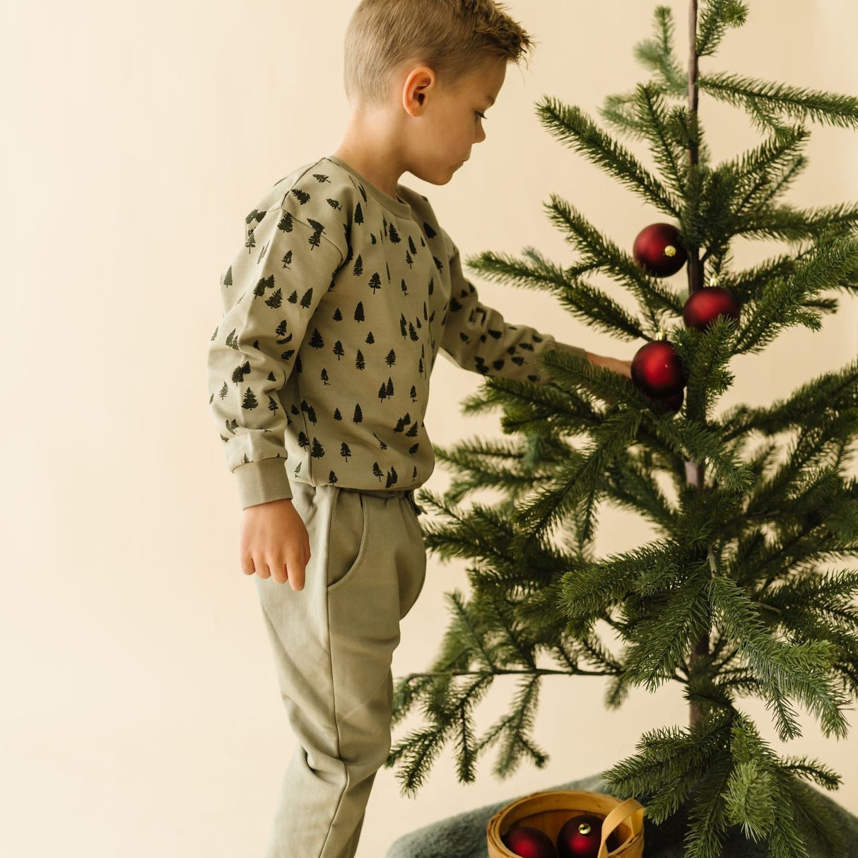 Organic Fleece Sweatshirt - Alpine - HoneyBug 