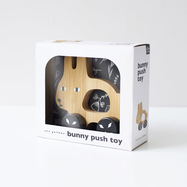 Bunny Push Toy - HoneyBug 